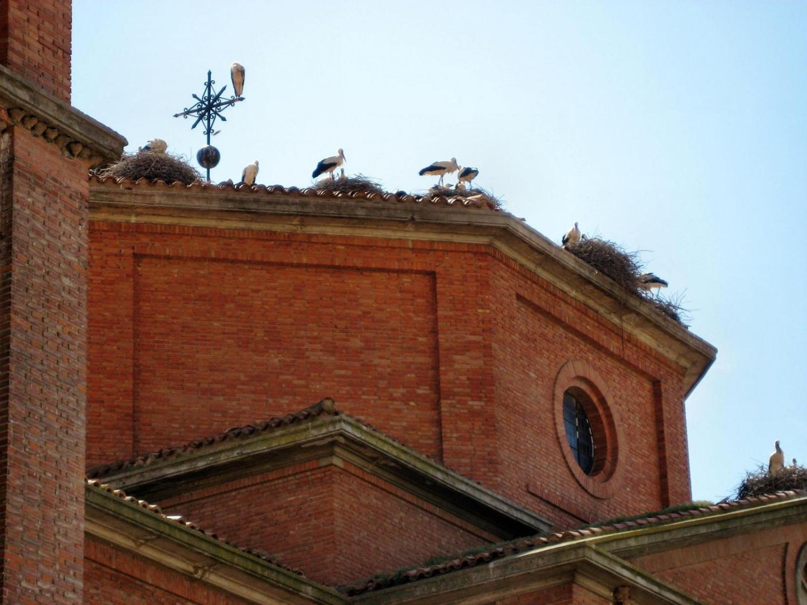 Hotel Rios San Adrian  Bagian luar foto